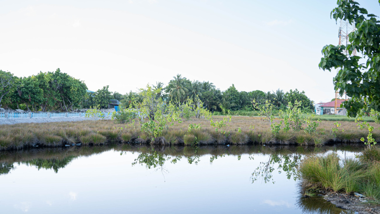 ދެކޮނު ކުޅި ތަރައްޤީ ކުރުމުގެ މަޝްރޫޢު