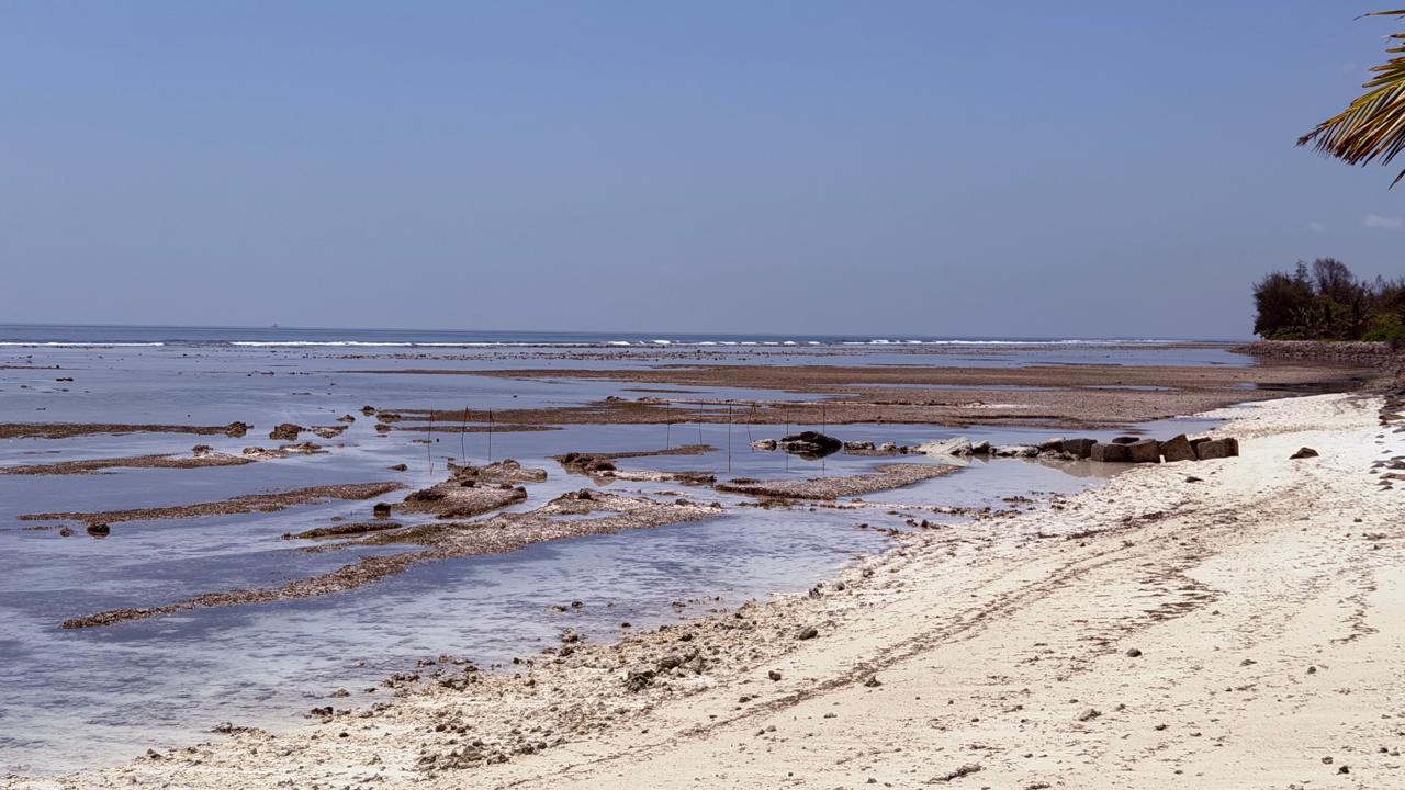 ސްވިމިންޓްރަކު ޤާއިމު ކުރުމުގެ މަޝްރޫޢު